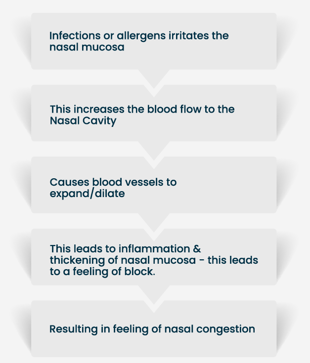 Nasal Congestion